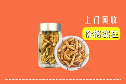 收购资讯:红山区回收散虫草