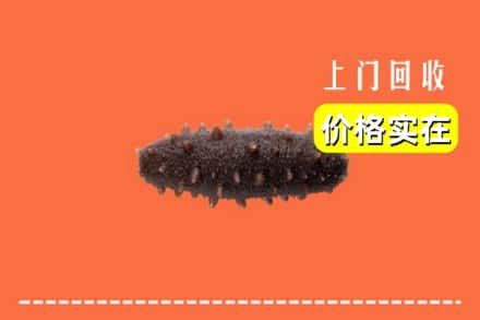 收购资讯:红山区回收海参