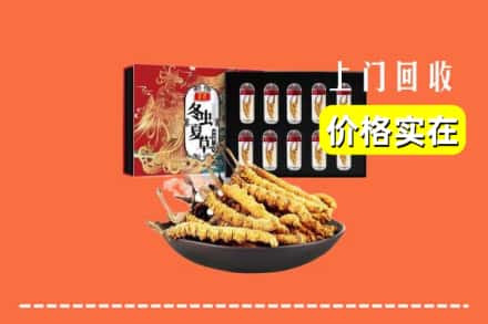 红山区回收虫草